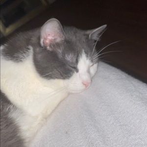 Meet your Posher, Shannon